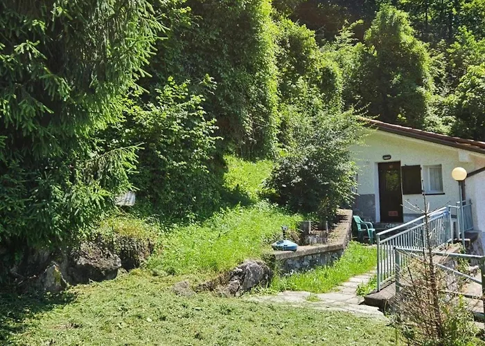 La Casa Del Lupo - &